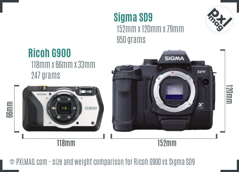 Ricoh G900 vs Sigma SD9 size comparison