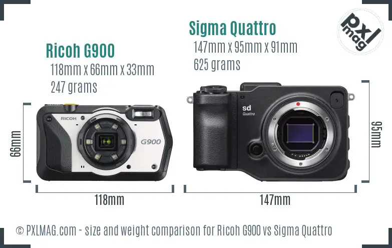 Ricoh G900 vs Sigma Quattro size comparison