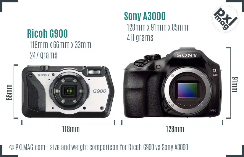 Ricoh G900 vs Sony A3000 size comparison