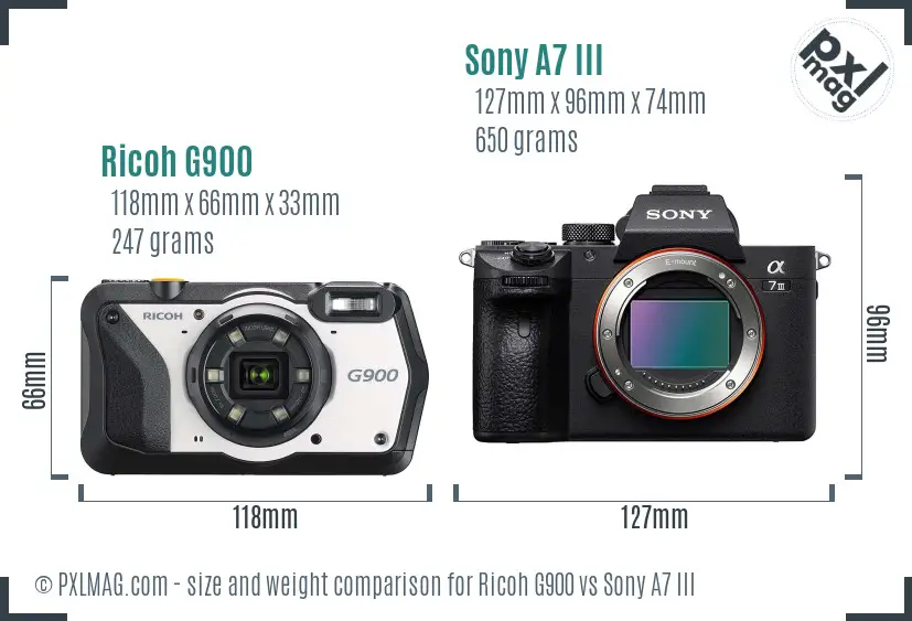 Ricoh G900 vs Sony A7 III size comparison