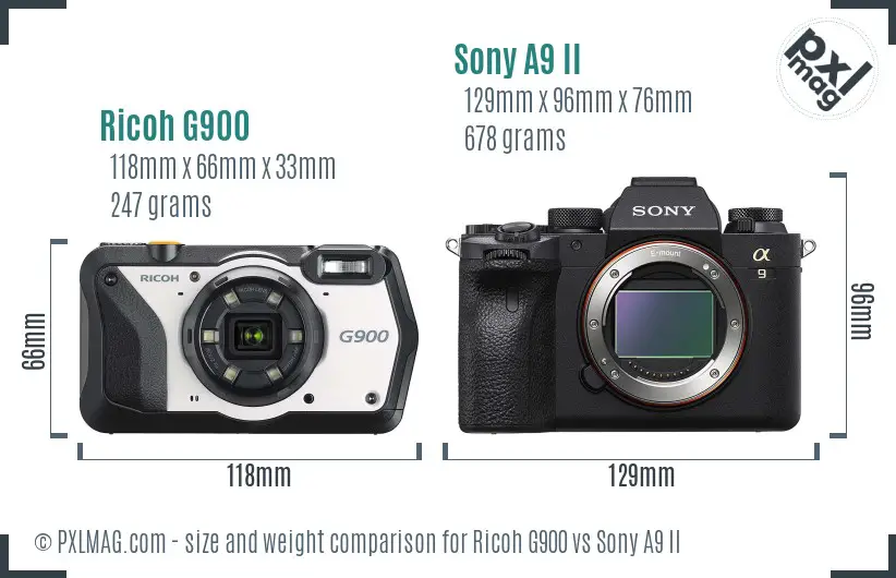 Ricoh G900 vs Sony A9 II size comparison