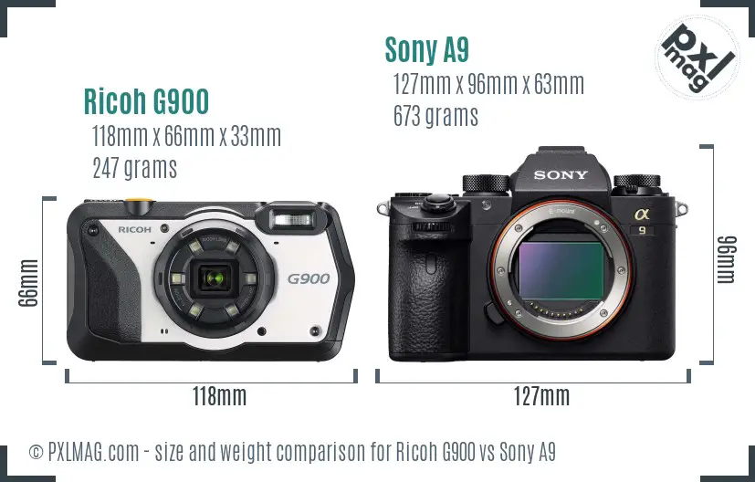 Ricoh G900 vs Sony A9 size comparison