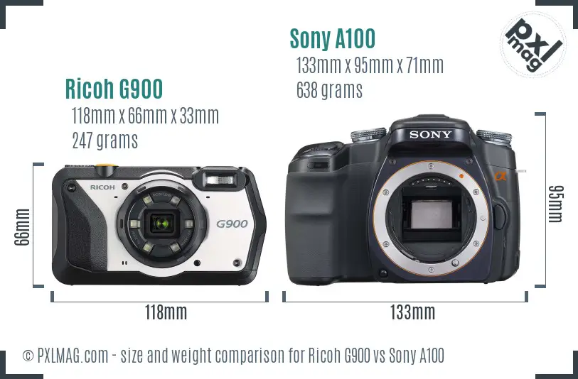 Ricoh G900 vs Sony A100 size comparison