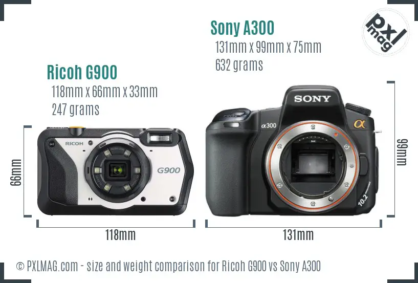 Ricoh G900 vs Sony A300 size comparison