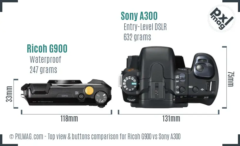 Ricoh G900 vs Sony A300 top view buttons comparison