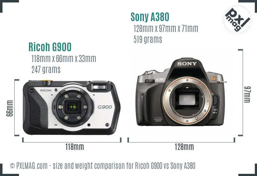 Ricoh G900 vs Sony A380 size comparison