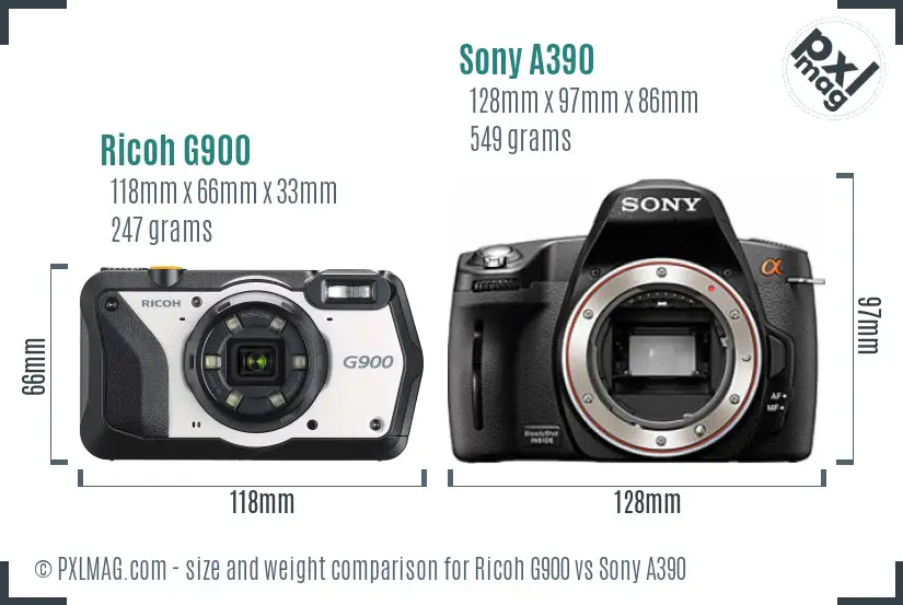 Ricoh G900 vs Sony A390 size comparison