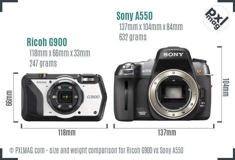 Ricoh G900 vs Sony A550 size comparison