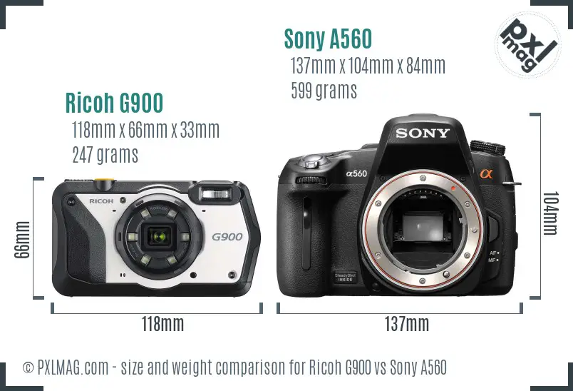 Ricoh G900 vs Sony A560 size comparison