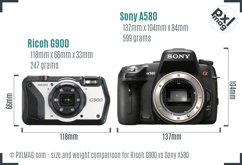 Ricoh G900 vs Sony A580 size comparison