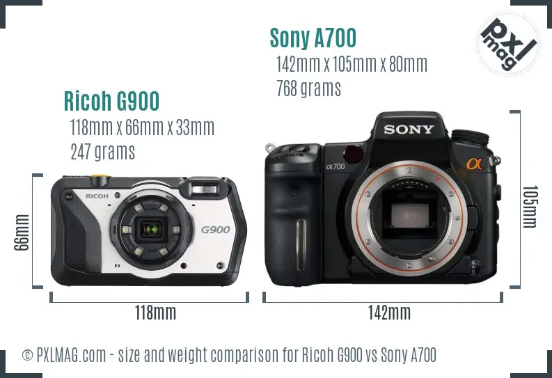 Ricoh G900 vs Sony A700 size comparison