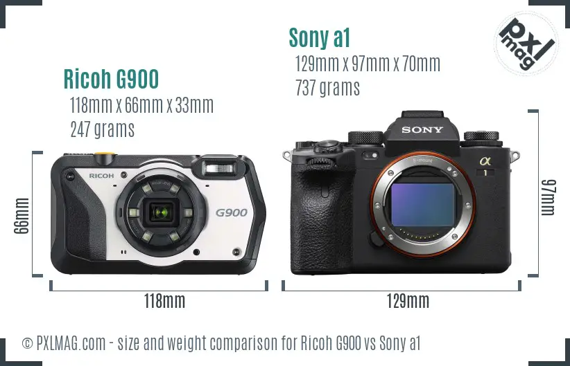 Ricoh G900 vs Sony a1 size comparison