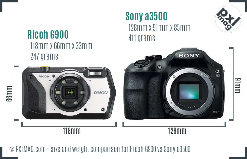 Ricoh G900 vs Sony a3500 size comparison