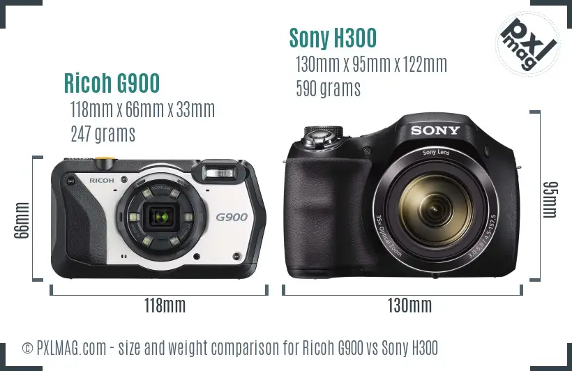 Ricoh G900 vs Sony H300 size comparison