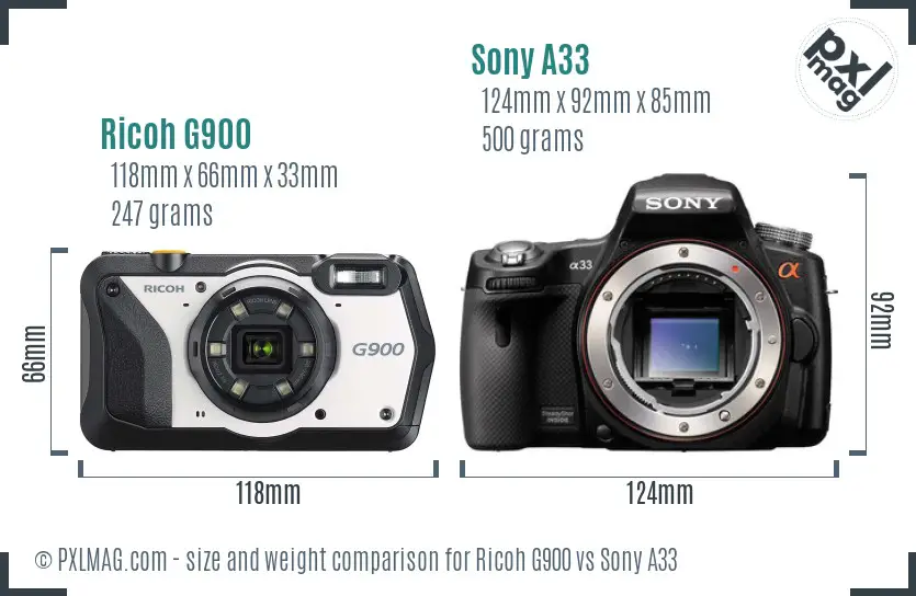 Ricoh G900 vs Sony A33 size comparison