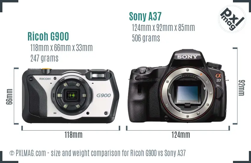 Ricoh G900 vs Sony A37 size comparison
