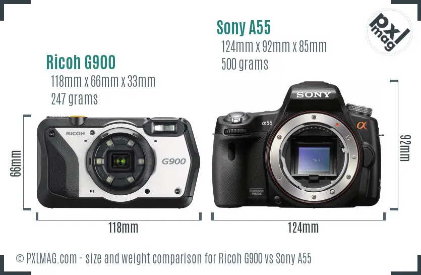 Ricoh G900 vs Sony A55 size comparison