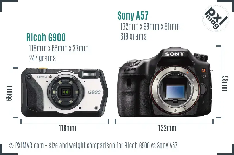Ricoh G900 vs Sony A57 size comparison