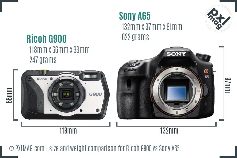 Ricoh G900 vs Sony A65 size comparison