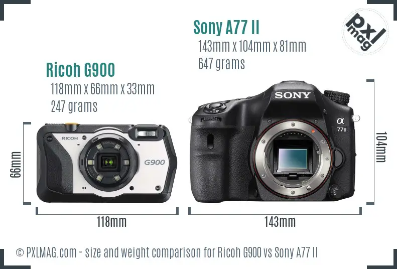 Ricoh G900 vs Sony A77 II size comparison