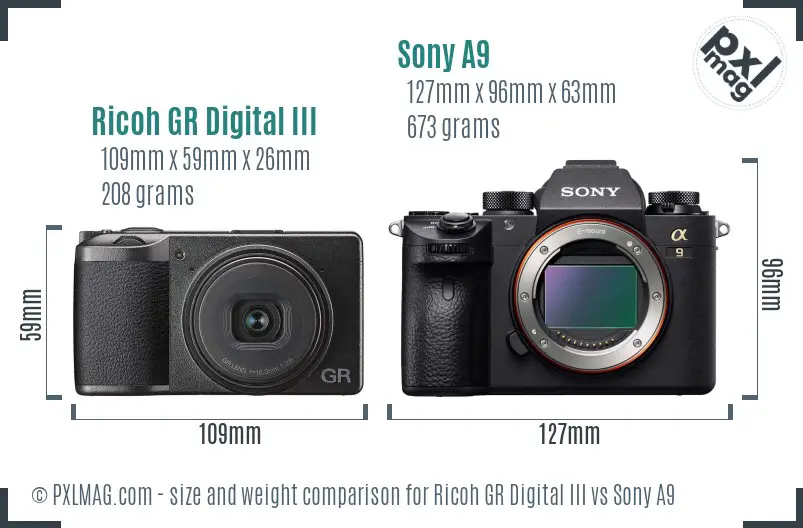 Ricoh GR Digital III vs Sony A9 size comparison