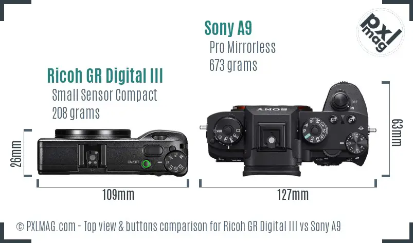 Ricoh GR Digital III vs Sony A9 top view buttons comparison