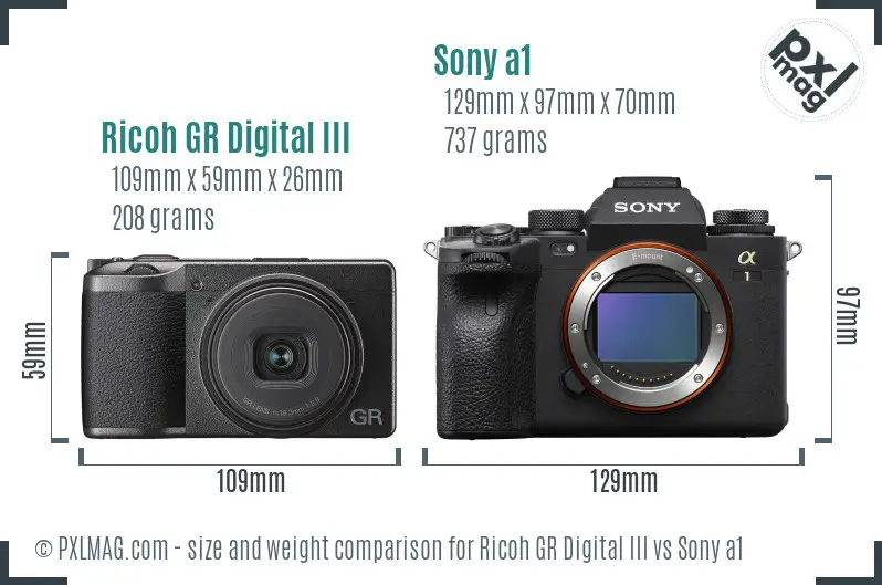 Ricoh GR Digital III vs Sony a1 size comparison