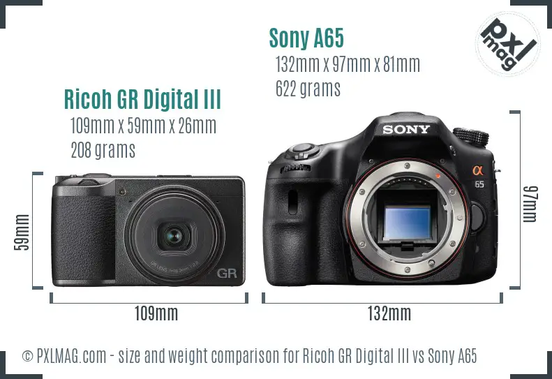Ricoh GR Digital III vs Sony A65 size comparison