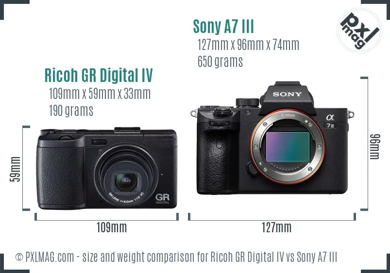 Ricoh GR Digital IV vs Sony A7 III size comparison