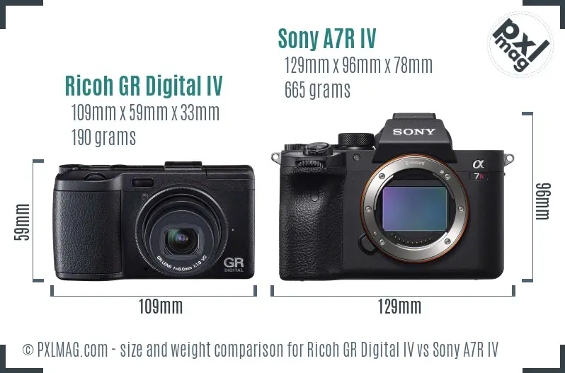 Ricoh GR Digital IV vs Sony A7R IV size comparison