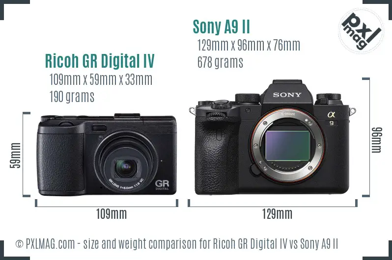 Ricoh GR Digital IV vs Sony A9 II size comparison