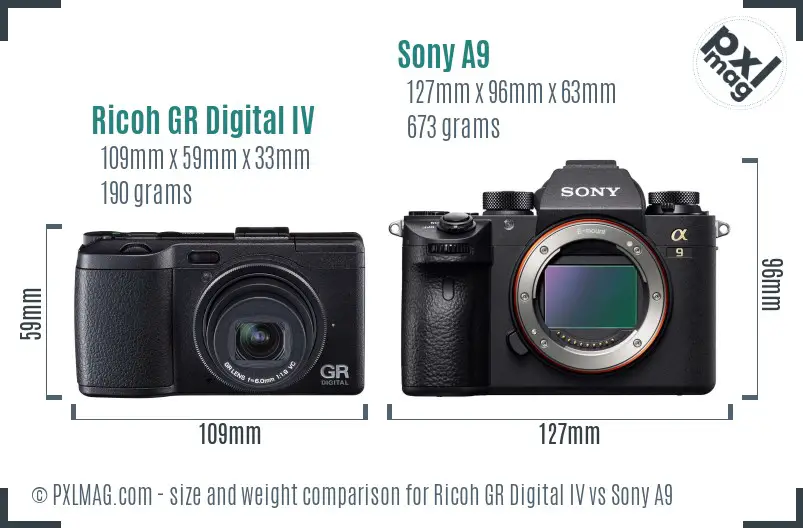 Ricoh GR Digital IV vs Sony A9 size comparison