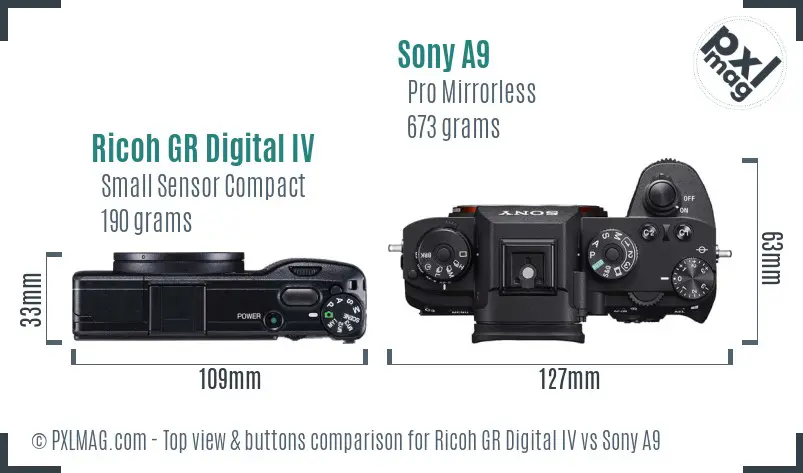 Ricoh GR Digital IV vs Sony A9 top view buttons comparison