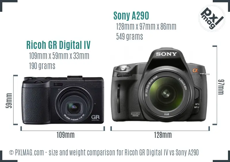 Ricoh GR Digital IV vs Sony A290 size comparison