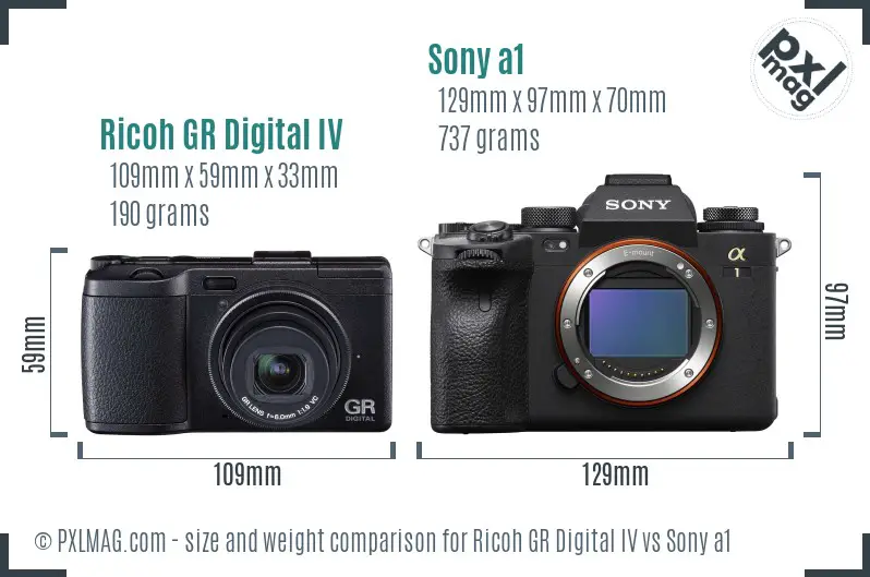 Ricoh GR Digital IV vs Sony a1 size comparison