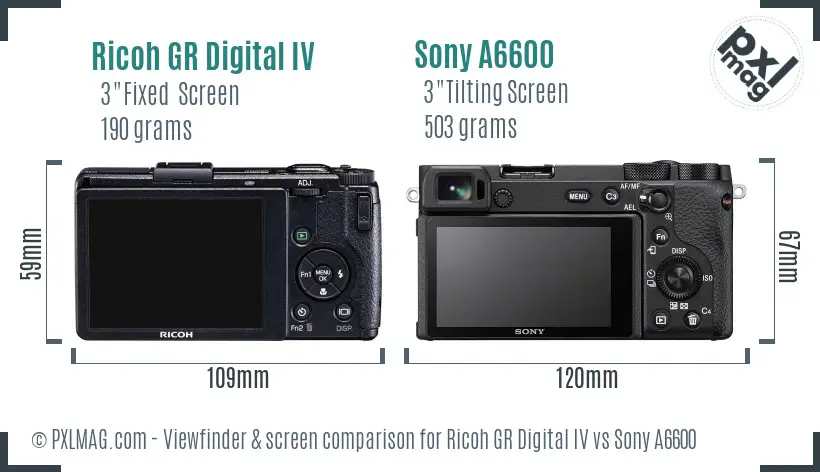 Ricoh GR Digital IV vs Sony A6600 Screen and Viewfinder comparison