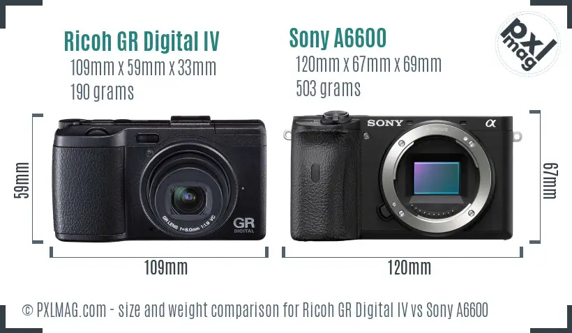 Ricoh GR Digital IV vs Sony A6600 size comparison