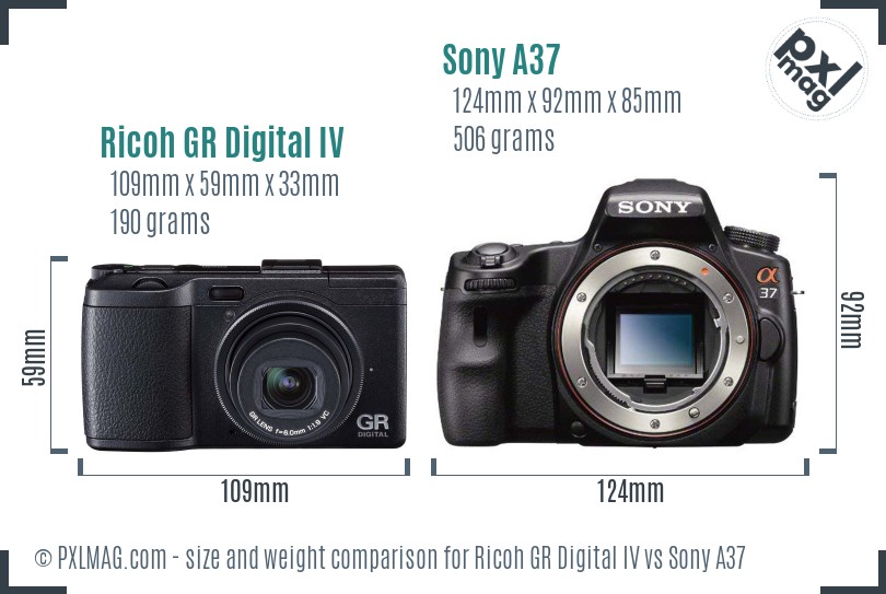 Ricoh GR Digital IV vs Sony A37 size comparison