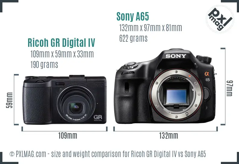 Ricoh GR Digital IV vs Sony A65 size comparison