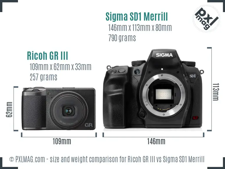 Ricoh GR III vs Sigma SD1 Merrill size comparison