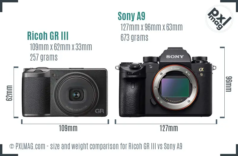 Ricoh GR III vs Sony A9 size comparison