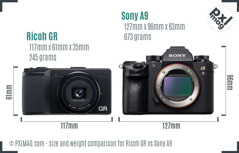 Ricoh GR vs Sony A9 size comparison