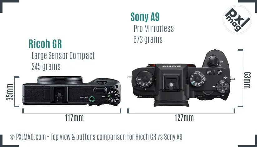 Ricoh GR vs Sony A9 top view buttons comparison