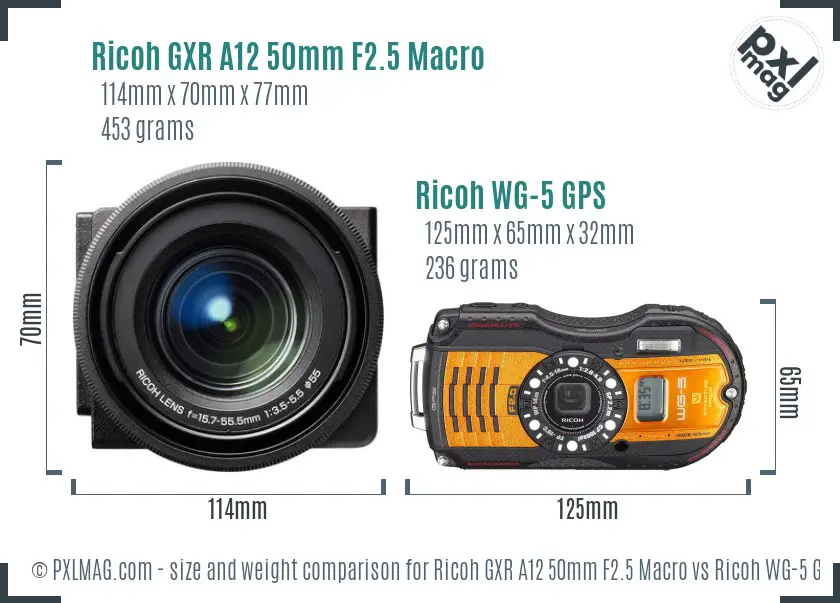 Ricoh GXR A12 50mm F2.5 Macro vs Ricoh WG-5 GPS size comparison