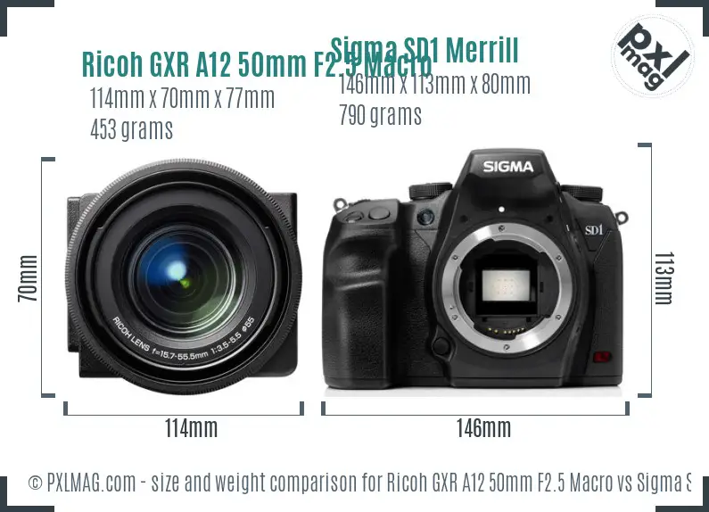 Ricoh GXR A12 50mm F2.5 Macro vs Sigma SD1 Merrill size comparison