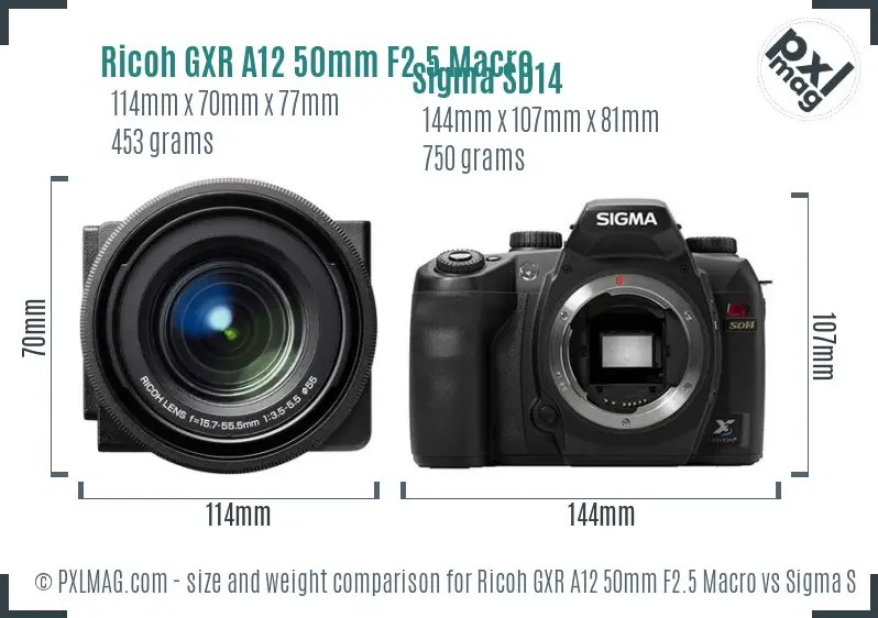 Ricoh GXR A12 50mm F2.5 Macro vs Sigma SD14 size comparison