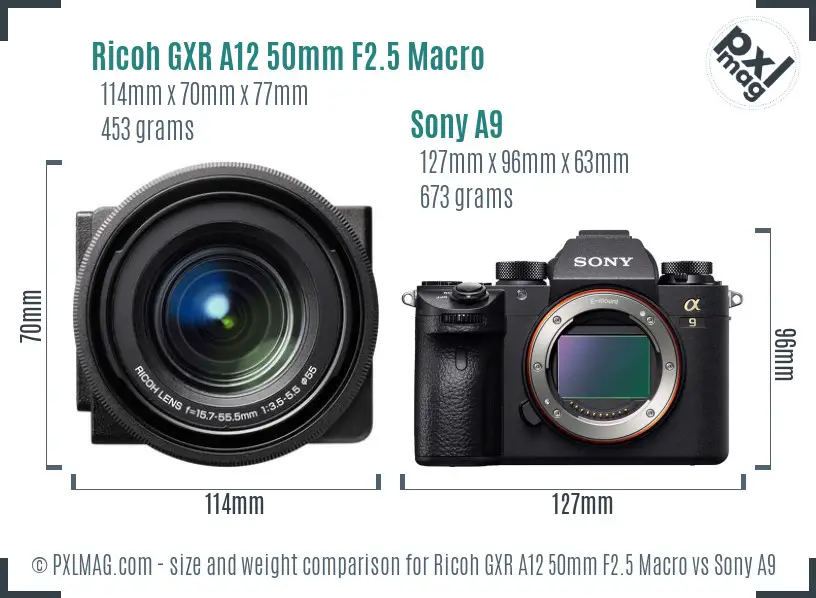 Ricoh GXR A12 50mm F2.5 Macro vs Sony A9 size comparison