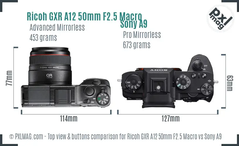 Ricoh GXR A12 50mm F2.5 Macro vs Sony A9 top view buttons comparison