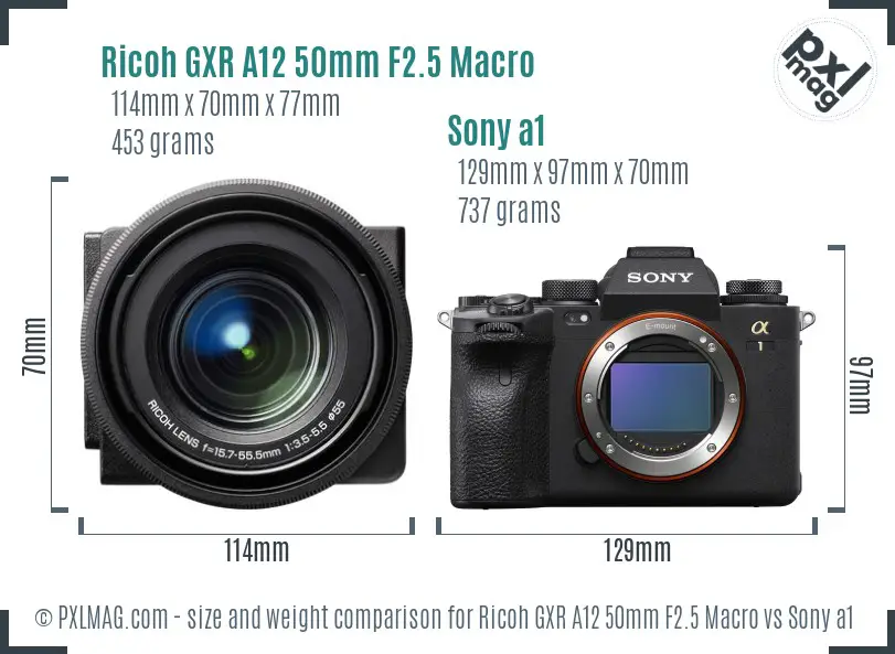 Ricoh GXR A12 50mm F2.5 Macro vs Sony a1 size comparison