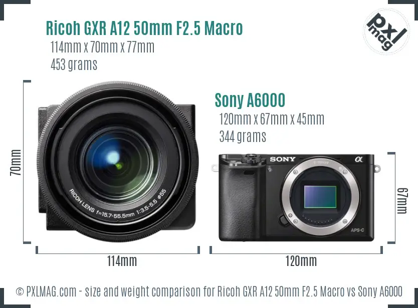 Ricoh GXR A12 50mm F2.5 Macro vs Sony A6000 size comparison